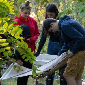 Students collecting materials from a stream for research.